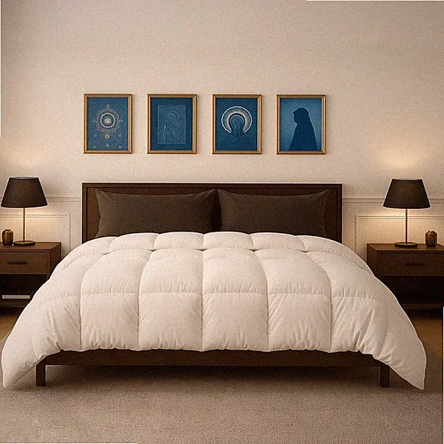 1 PC Twin XL 68" x 92" Comforter for Dorm Room Beds, Premium Brushed Microfiber