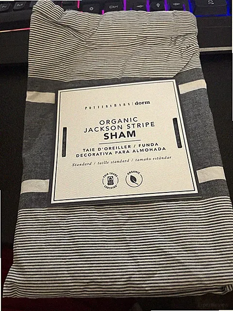 Pottery Barn Kids Teen Organic Jackson Stripe Std Shams Charcoal